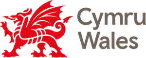 CYMRU_WALES_SMALL_RGB_RED_GREY copy